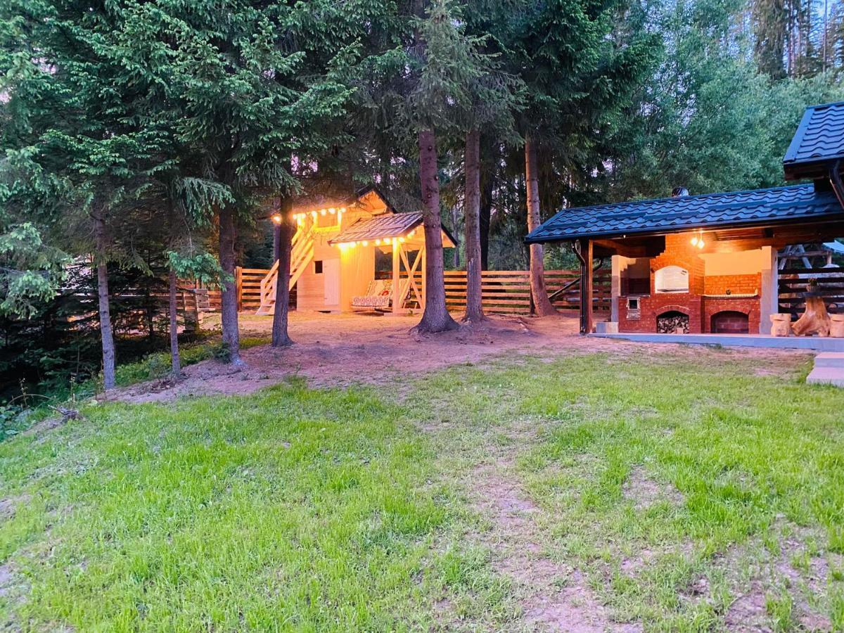 Roua Bucovinei Villa Sadova  Buitenkant foto